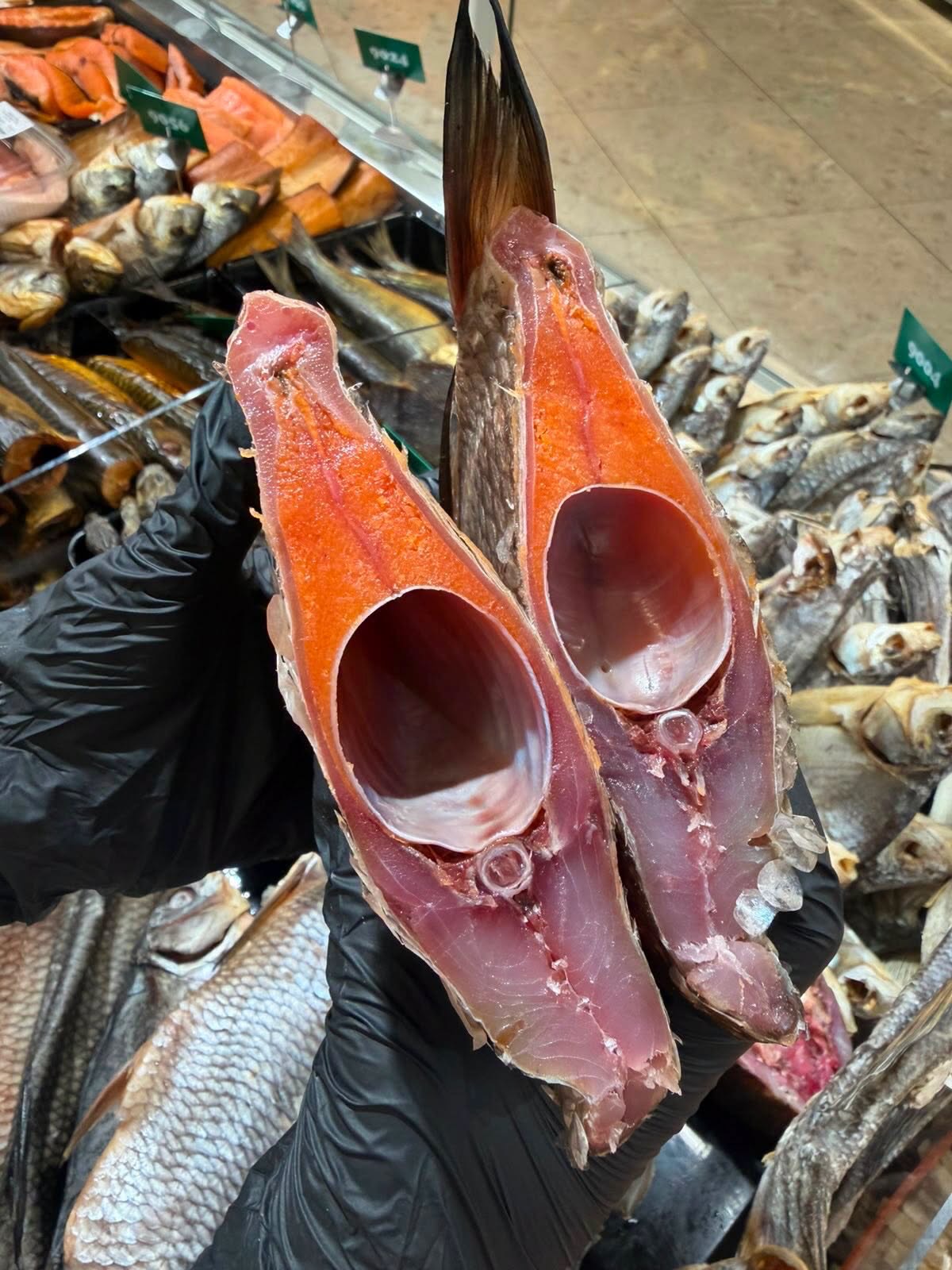 Een gedroogde vis opengesneden in de hand van een collega, met de felle oranje kuit zichtbaar aan de binnenkant.